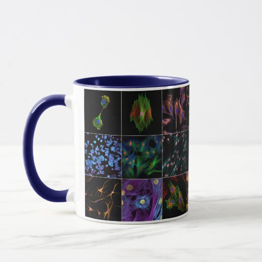 Biologie de la Mug (Gauche)