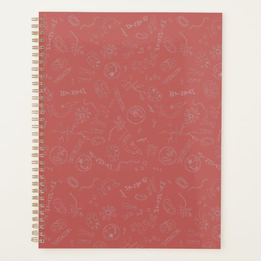 Biologie diagramme conception dusky rose (Devant)