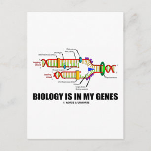 Biologie is in mijn genen (DNA-replicatie) Briefkaart