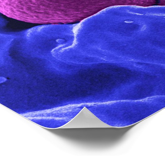 biologie microbiologie abstracte kunstbacterie poster (Hoek)