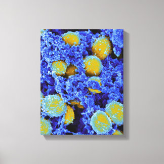 biologie microbiologie poster ou toile d'art abstr