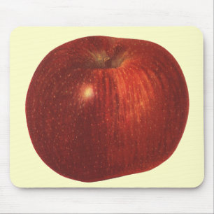 Biologisch Rode Delicious Appel, Oud-Eten Fruit Muismat