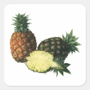 Biologische ananas uit Hawaï in vintage-stijl Vierkante Sticker