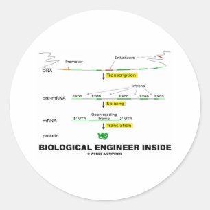 Biologische ingenieur Inside Ronde Sticker