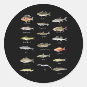 Biologische Kinder vissoorten zoetwatervis Ronde Sticker