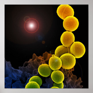 Biologische microbiologie, abstract voor poster of