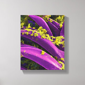Biologische microbiologie, abstract voor poster of canvas afdruk