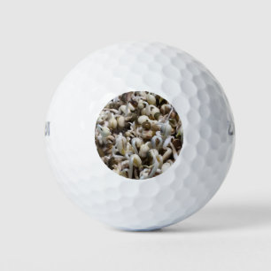 Biologische Mung Sprouts – een voedingsstof verpak Golfballen