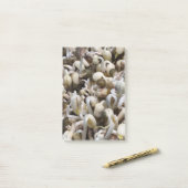 Biologische Mung Sprouts – een voedingsstof verpak Post-it® Notes (Op bureau)