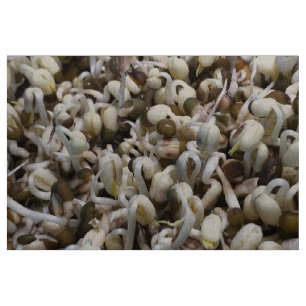 Biologische Mung Sprouts – een voedingsstof verpak Stof