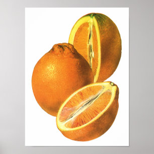 Biologische verse gezonde sinaasappels uit het ver poster