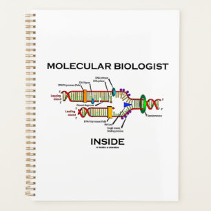 Biologiste moléculaire dans la réplication de l'AD