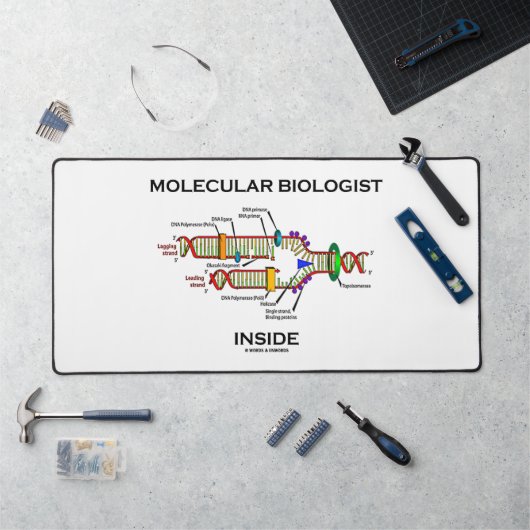 Biologiste moléculaire dans la réplication de l'AD (Poste de travail)
