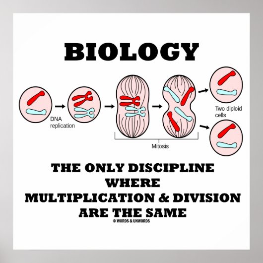 Biology Only Discipline Multiplication Division Poster (Voorkant)