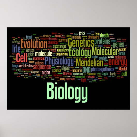 Biology Wordle No. 8 Black Poster (Voorkant)