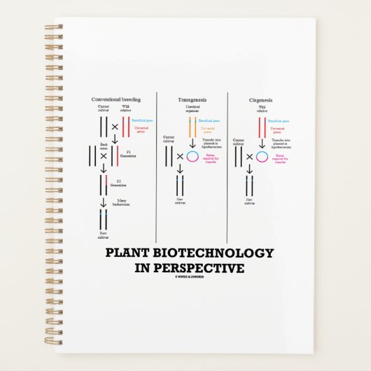 Biotechnologie plante En Perspective (Transgenèse) (Devant)