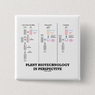Biotechnologie van plant in perspectief (transgene vierkante button 5,1 cm