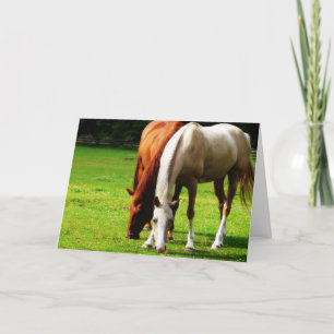 Biracial Horse Couple Kaart