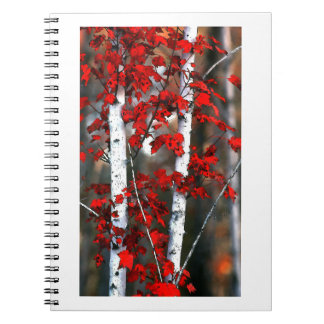 Birch#2-notebook Notitieboek