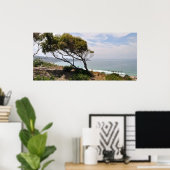 Birch Aquarium Panorama Poster (Thuiskantoor)