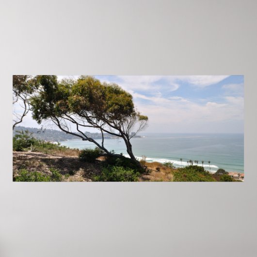 Birch Aquarium Panorama Poster (Voorkant)