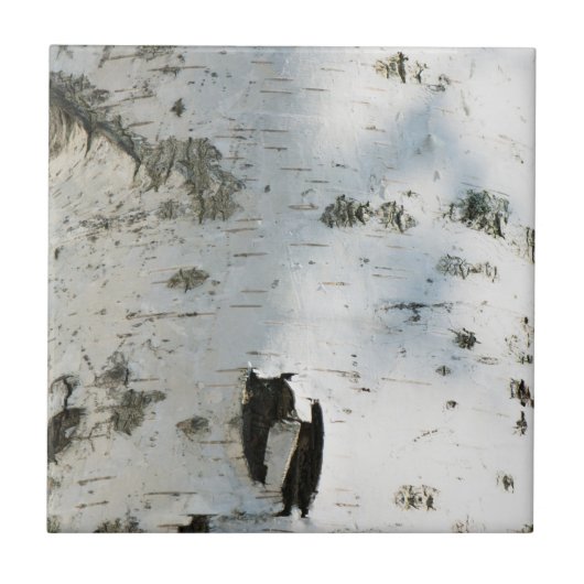 Birch bark pattern tegeltje (Voorkant)