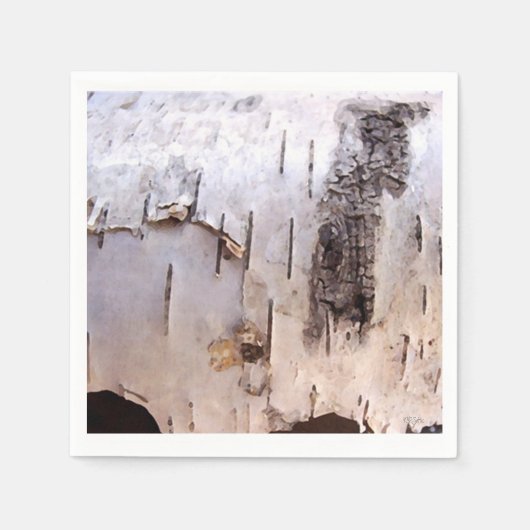 Birch Bark Servetten (Voorkant)