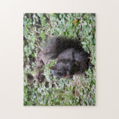 Birch Bay Squirrel Legpuzzel (Verticaal)