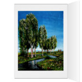 BIRCH BOMEN IN TUSCANY (Binnen (Links))
