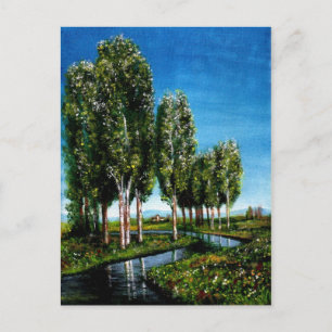 BIRCH BOMEN IN TUSCANY BRIEFKAART
