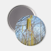 Birch Catkins Magnet Magneet (Voorkant / Achterkant)
