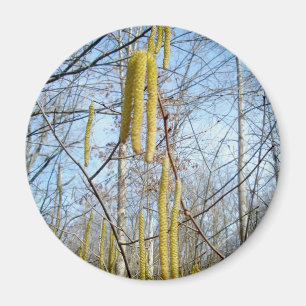 Birch Catkins Magnet Magneet