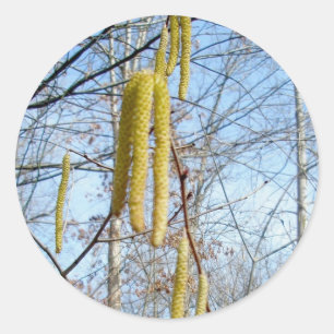 Birch Catkins Stickers