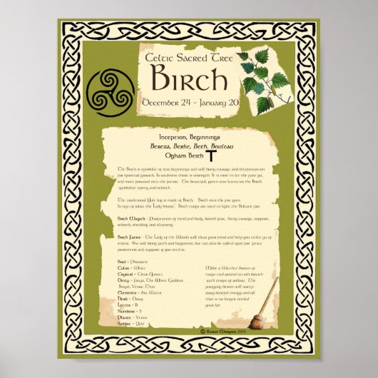 BIRCH CELTISCH SACRED TREE POSTER (Voorkant)