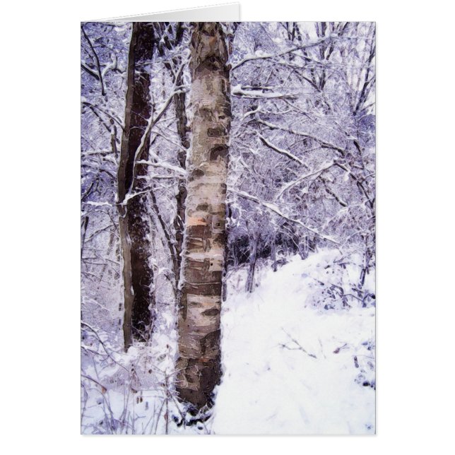 Birch d'hiver (Devant)