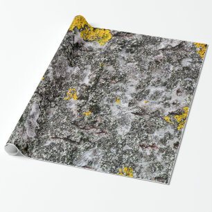 Birch en Lichen Cadeaupapier