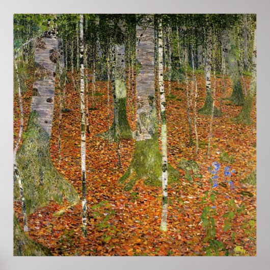 Birch Forest Poster (Voorkant)