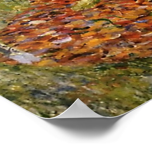 Birch Forest Poster (Hoek)