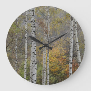 Birch Forrest Automne Photo Round Wall Horloge