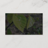 Birch Leaves Green Leaves Visitekaartje (Achterkant)