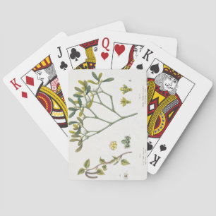 Birch (links) en Mistletoe (rechts), fig. 9 en 10 Speelkaarten