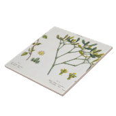 Birch (links) en Mistletoe (rechts), fig. 9 en 10 Tegeltje (Zijkant)