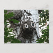 Birch Soul Tree Magic Face Photocard Carte postale (Devant)