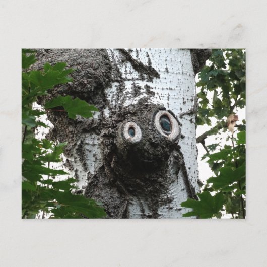 Birch Soul Tree Magic Face Photocard Carte postale (Devant)