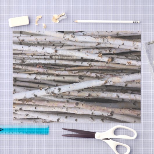 Birch Tissuepapier (Craft)