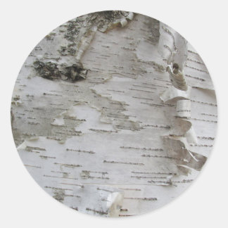 Birch Tree Bark Peeled Old Art Photo Ronde Sticker