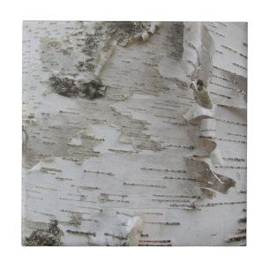 Birch Tree Bark Peeled Old Art Photo Tegeltje