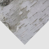 Birch Tree Bark Peeled Old Art Photo Tissuepapier (Detail)