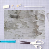 Birch Tree Bark Peeled Old Art Photo Tissuepapier (Craft)