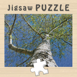 Birch Tree Crown Foto - Legpuzzel
